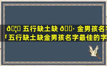 🦈 五行缺土缺 🌷 金男孩名字「五行缺土缺金男孩名字最佳的字」